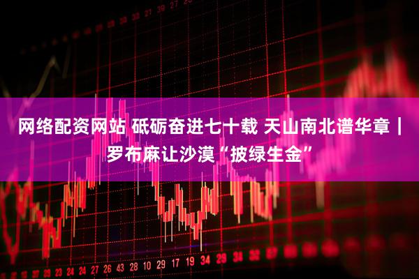 网络配资网站 砥砺奋进七十载 天山南北谱华章｜罗布麻让沙漠“披绿生金”