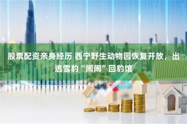 股票配资亲身经历 西宁野生动物园恢复开放，出逃雪豹“闹闹”回豹馆