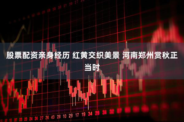 股票配资亲身经历 红黄交织美景 河南郑州赏秋正当时