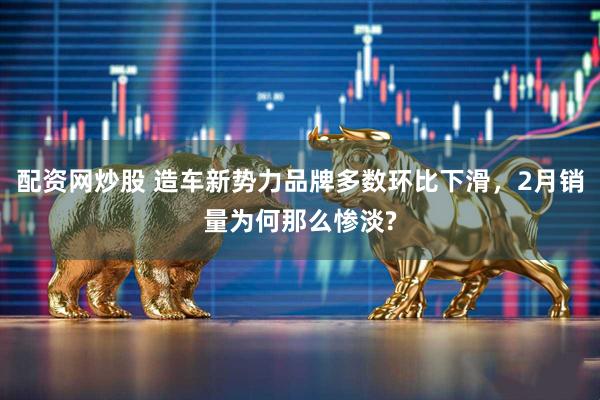 配资网炒股 造车新势力品牌多数环比下滑，2月销量为何那么惨淡?