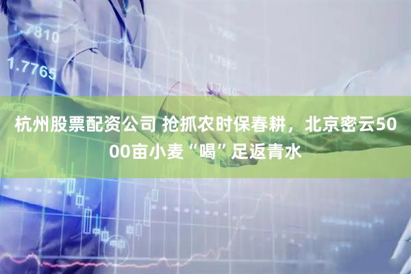 杭州股票配资公司 抢抓农时保春耕，北京密云5000亩小麦“喝”足返青水