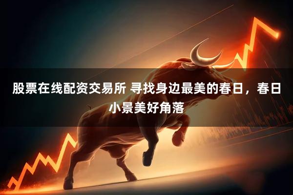 股票在线配资交易所 寻找身边最美的春日，春日小景美好角落