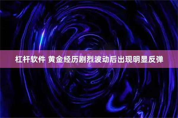 杠杆软件 黄金经历剧烈波动后出现明显反弹