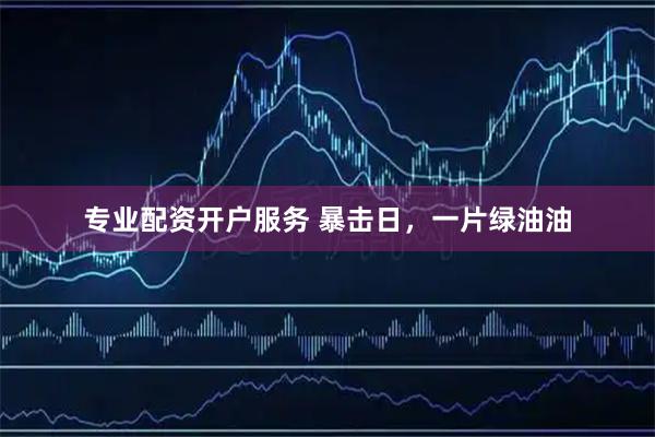 专业配资开户服务 暴击日，一片绿油油