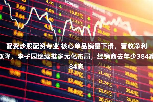 配资炒股配资专业 核心单品销量下滑,营收净利双降,李子园继续推多元化布局,经销商去年少384家