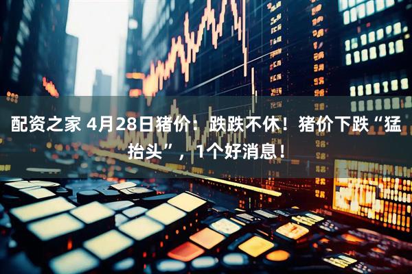 配资之家 4月28日猪价：跌跌不休！猪价下跌“猛抬头”，1个好消息！