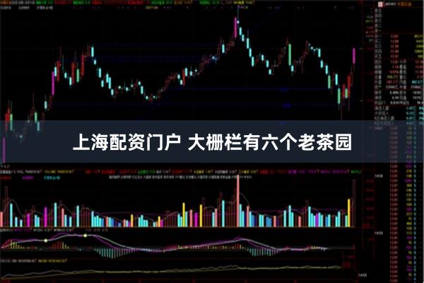 上海配资门户 大栅栏有六个老茶园